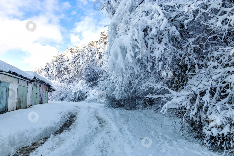 Скачать Зимнее шоссе со снежными насыпями, заснеженными соснами и горой под голубым небом. фотосток Ozero