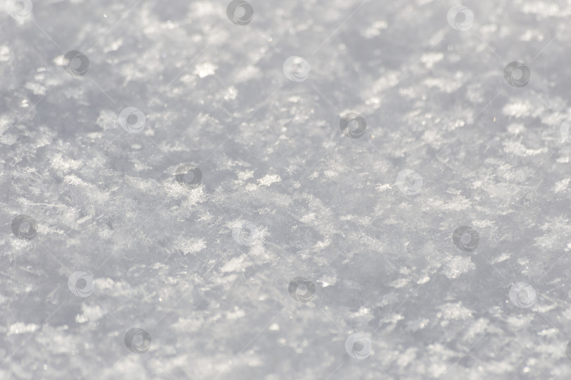 Скачать snow texture close-up. natural background of snowflakes фотосток Ozero