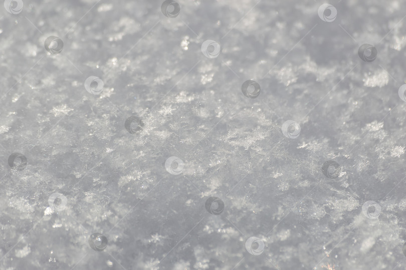 Скачать Текстура снега. Естественный фон. Снежинки на снегу. фотосток Ozero