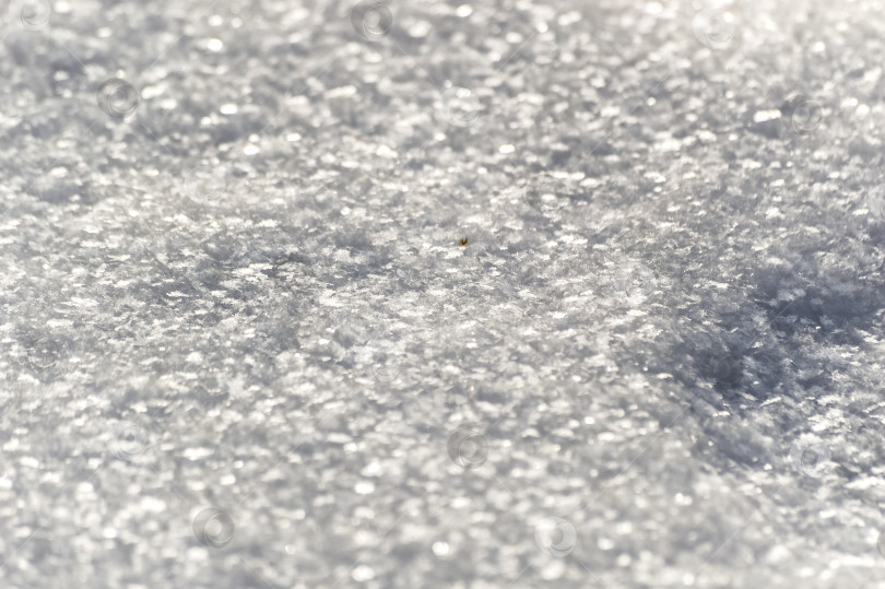 Скачать Текстура снега крупным планом в солнечный день. естественный фон для дизайна фотосток Ozero