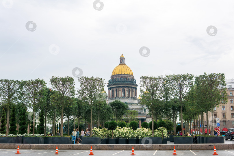 Скачать купол Святого. Исаакиевский собор в Санкт-Петербурге виден из-за цветущих деревьев в парке фотосток Ozero