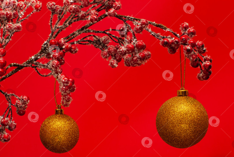 Скачать Рождественские шары на ветке фотосток Ozero