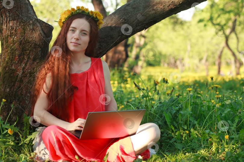 Скачать Женщина с ноутбуком в парке фотосток Ozero
