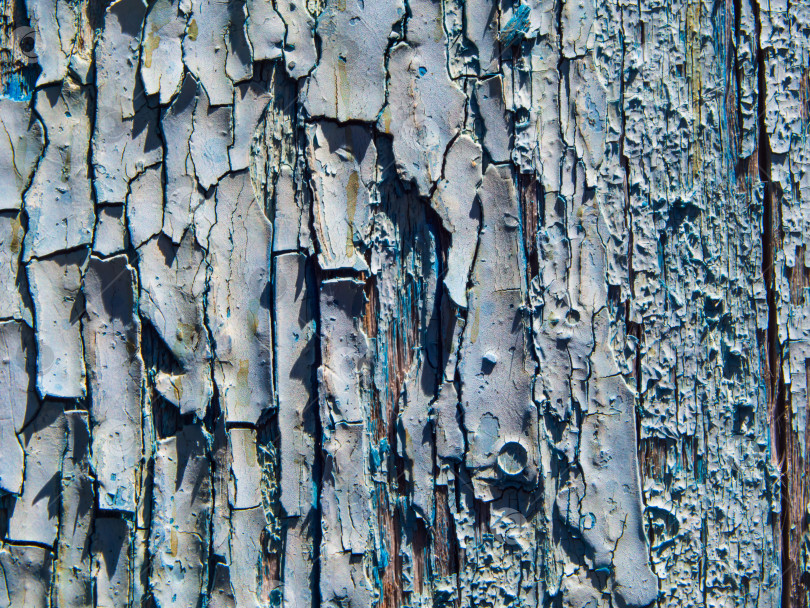 Скачать Синий деревянный фон с потрескавшейся краской. Деревянная стена с облупившейся грязной выцветшей синей краской в качестве фона. Окрашенная поверхность с облупившейся краской фотосток Ozero