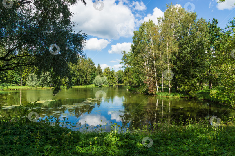 Скачать Пруд в парке Гатчинского дворца, Гатчина фотосток Ozero