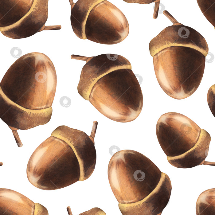 Скачать Бесшовный фон из желудей. Акварельная иллюстрация орехов. Плоды дуба. Лес, природа, концепция дня благодарения фотосток Ozero