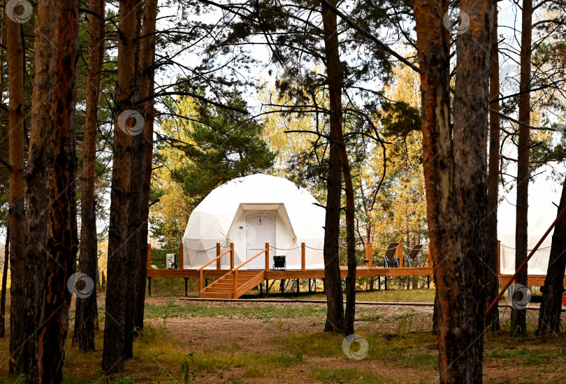 Скачать Современный кемпинговый домик для отдыха в сосновом лесу фотосток Ozero