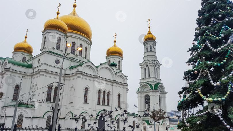 Скачать Ростовский кафедральный собор, Ростов-на-Дону, Россия фотосток Ozero