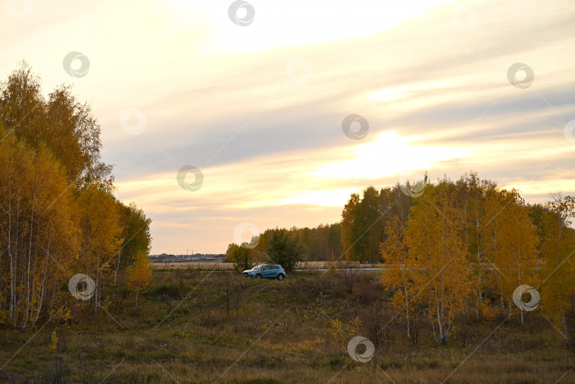 Скачать дорога в осенний лес, осенние листья крупным планом фотосток Ozero