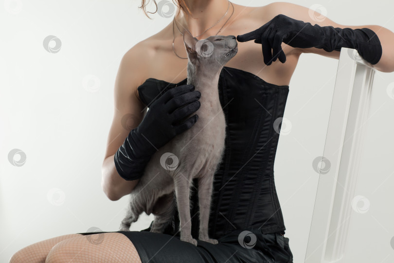 Скачать Кошка и женщина фотосток Ozero
