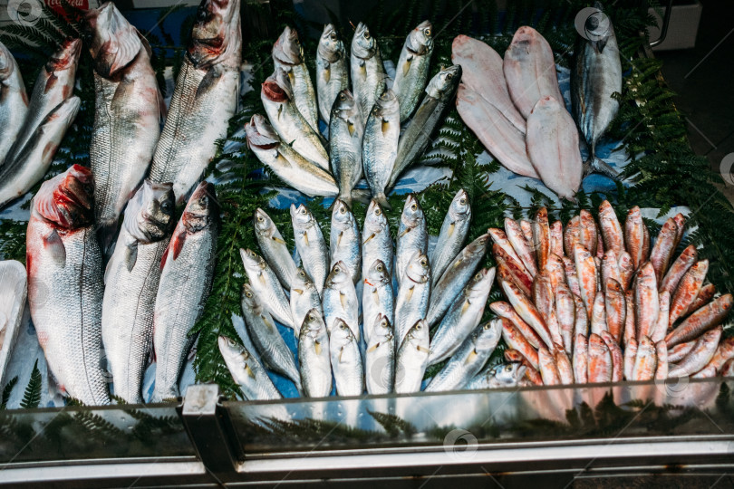 Скачать Свежая рыба на рынке в Стамбуле фотосток Ozero