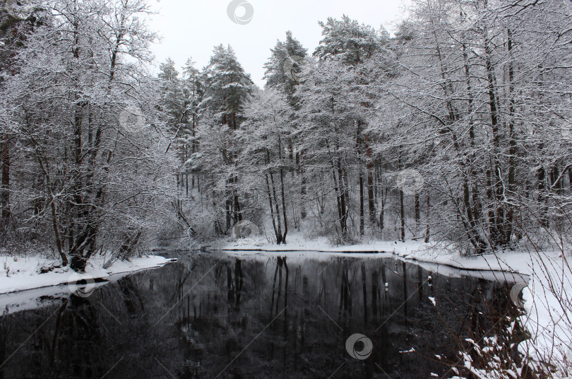 Скачать Река в зимнем лесу, заснеженные деревья фотосток Ozero