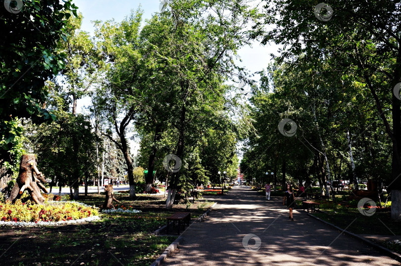 Скачать Летний городской пейзаж фотосток Ozero