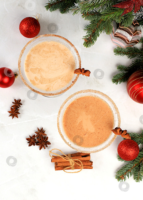 Скачать Рождественский мартини с корицей, мускатным орехом и темным шоколадом на фоне еловых веток, концепция для Рождества и зимних праздников. Согревающий молочный напиток в холодное время года фотосток Ozero