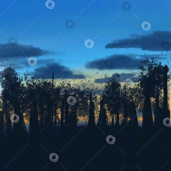 Скачать Пейзаж с темным лесом на фоне восхода, небо, облака фотосток Ozero