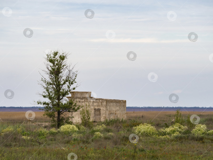 Скачать Старое разрушающееся здание в степи рядом с одиноким деревом. Контраст цветущей разноцветной и высохшей желтой прерии. Концепция жизни и смерти фотосток Ozero