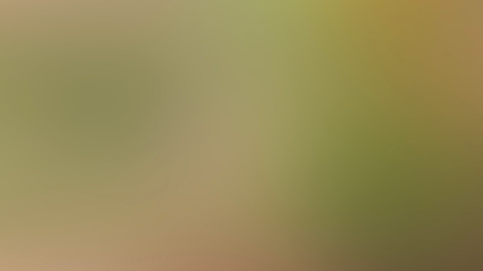 [object Object] undefined