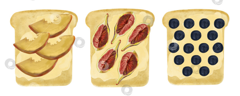 Скачать Набор рисованных акварелью иллюстраций к еде. Тосты со спелыми фруктами, кусочками персика, инжира, черники. плоская иллюстрация эко-продуктов питания, правильного питания фотосток Ozero