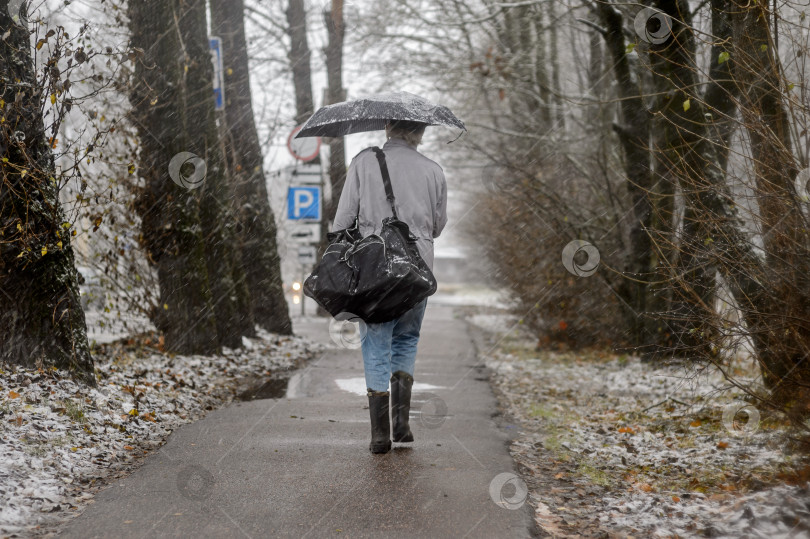 Скачать Россия, Санкт-Петербург, ноябрь 2023 года: Первый зимний снег в городе и мужчина под зонтом фотосток Ozero