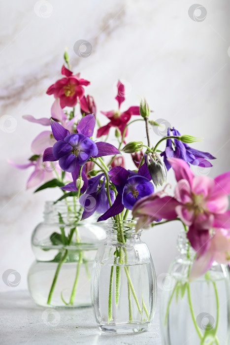Скачать крупный план букета цветов в стеклянной вазе фотосток Ozero
