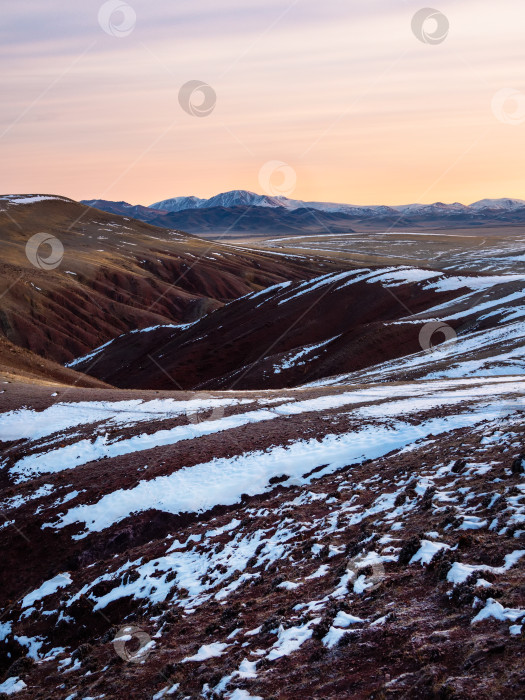 Скачать Красные горы покрыты снегом на закате. Алтайские горы. Красивый высокогорный пейзаж. Межсезонье в горах, приход зимы. Вертикальный вид. фотосток Ozero