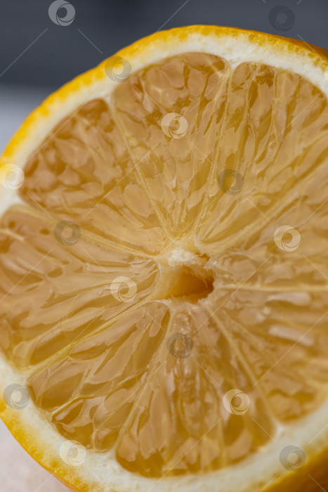 Скачать Половинка нарезанного лимона на белом столе фотосток Ozero