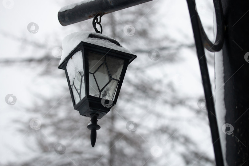 Скачать Красивый черный уличный фонарь в парке, покрытом снегом фотосток Ozero