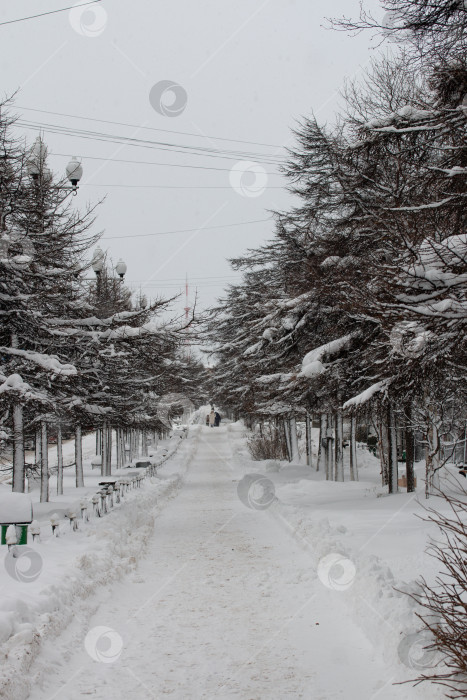 Скачать Фотография зимнего заснеженного города Магадан, Россия фотосток Ozero