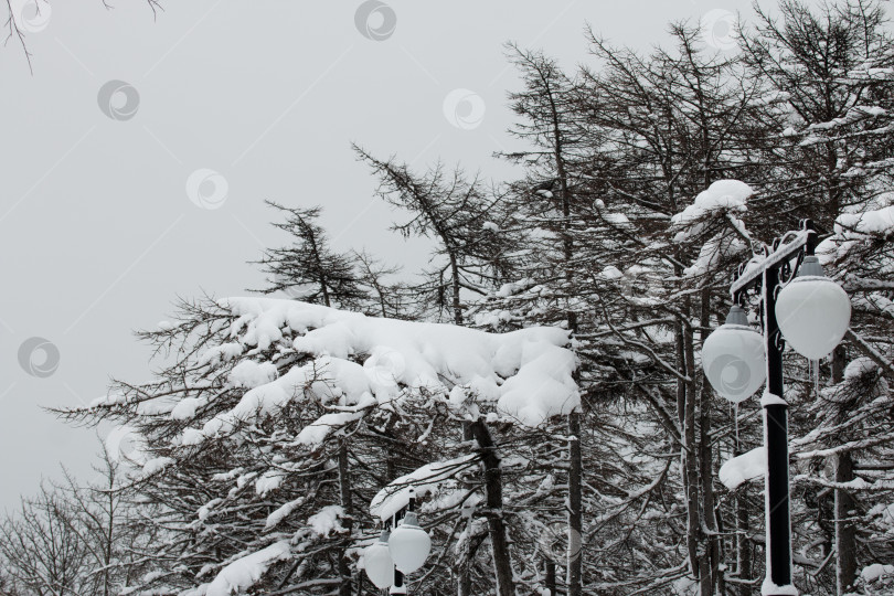 Скачать Уличный фонарь в парке, покрытом снегом фотосток Ozero
