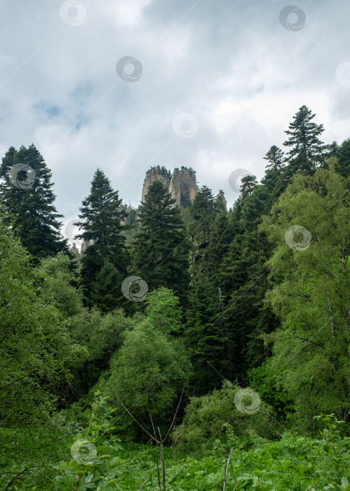 Скачать горный пейзаж фотосток Ozero