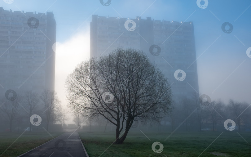 Скачать туман в жилом районе фотосток Ozero