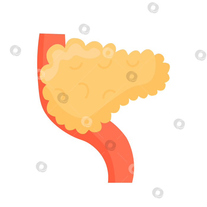 Скачать Иллюстрация биологического тела поджелудочной железы внутри органа. Концепция осознания здоровья изолирована. фотосток Ozero