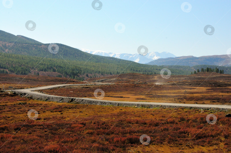 Скачать Гравийная дорога, плавно поворачивая, пересекает большую поляну с пожелтевшими кустами на фоне высоких заснеженных гор осенним солнечным днем. фотосток Ozero