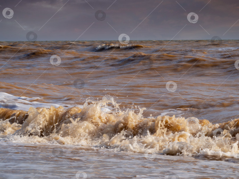 Скачать Шоколадно-коричневые волны накатывают на берег под грозовым небом после урагана. Азовское море во время шторма, штормовое море с грязно-коричневыми волнами на фоне неба фотосток Ozero