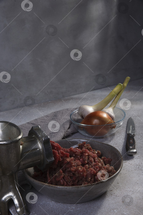Скачать Домашний мясной фарш в миске с ручной мясорубкой, чесноком и луком на сером фоне фотосток Ozero