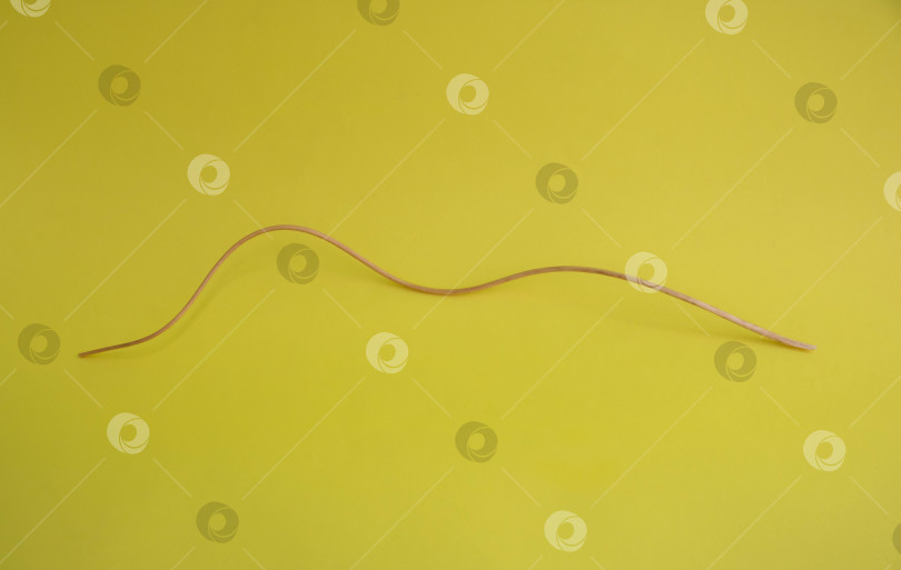 Скачать Концепция минималистского декора. Сухой изогнутый стебель дикого лука на желтом фоне фотосток Ozero