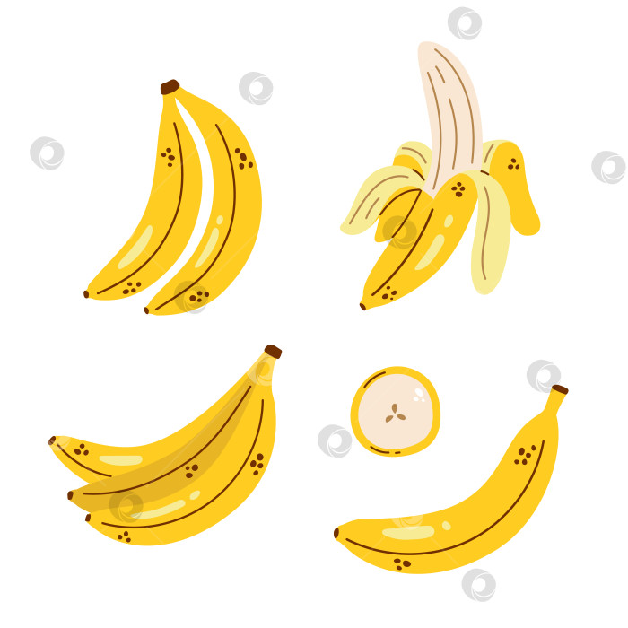 Скачать Векторный банановый набор. Банановая гроздь, очищенный банан и ломтик банана. Симпатичная коллекция с бананами. Тропические фрукты. фотосток Ozero