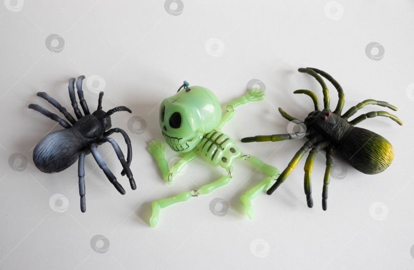 Скачать Фон Хэллоуина с двумя пауками и скелетом на белом фоне. Концепция счастливого Хэллоуина фотосток Ozero