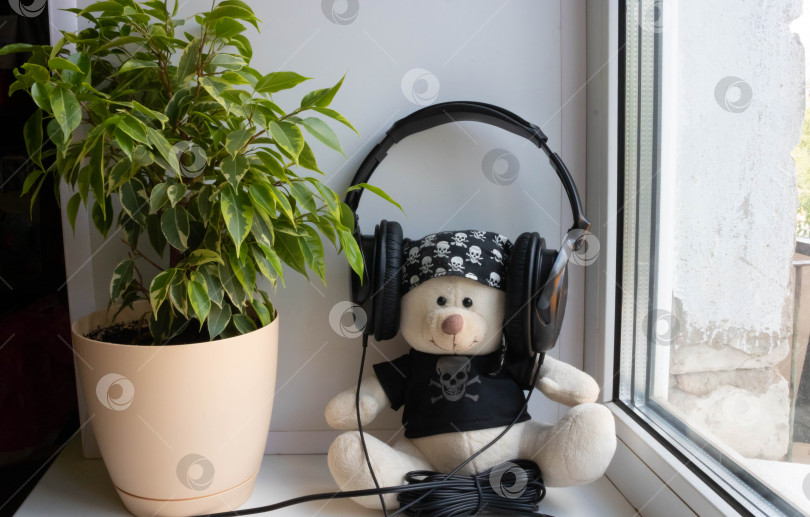 Скачать Плюшевый мишка в наушниках слушает аудиомузыку на подоконнике фотосток Ozero