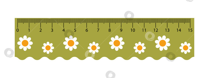 Скачать Векторная зеленая измерительная линейка с цветами ромашки. Измерительный инструмент для учащихся. Симпатичная школьная линейка с волнистой стороной. Сантиметровые весы. фотосток Ozero