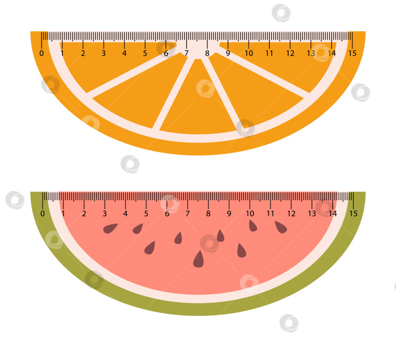 Скачать Векторный набор с измерительными линейками в форме фруктов. Школьные правила нарезки апельсинов и арбузов. Изучаем измерительный инструмент с милыми фруктами. фотосток Ozero