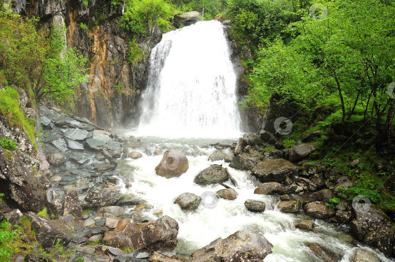 Скачать Бурный водный поток стекает с гор, образуя красивый высокий водопад в утреннем лесу после дождя. фотосток Ozero