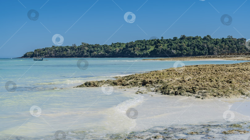 Скачать Морское дно обнажалось во время отлива. фотосток Ozero