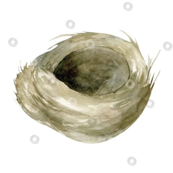 Скачать Watercolor bird empty nest illustration. Hand drawn element for Ester holiday , spring festival design. Isolated clip art for label , logo, invitation decoration фотосток Ozero