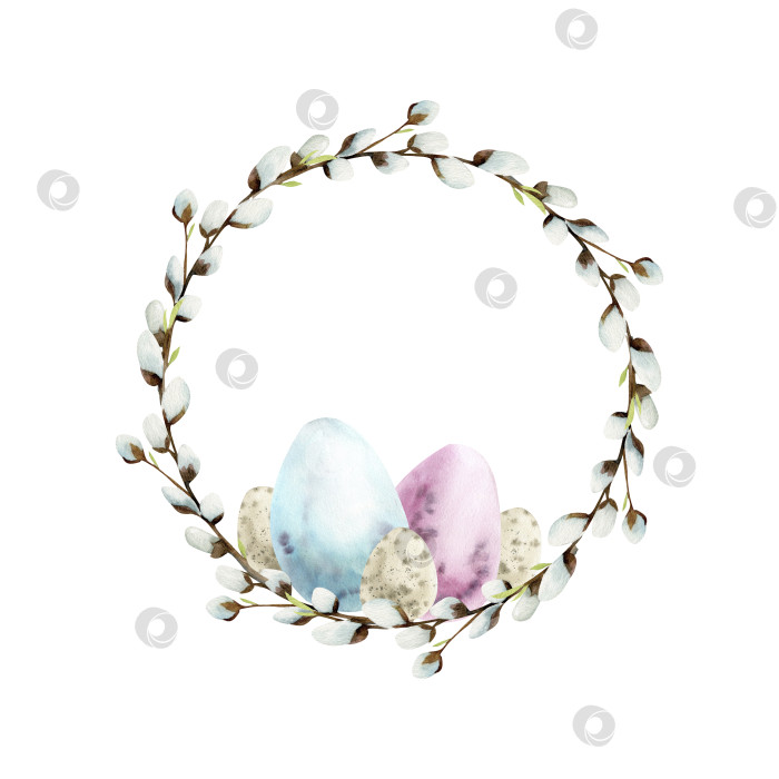 Скачать Watercolor hand drawn willow wreath with colorful eggs . Happy Easter illustration, rustic, floral design for packing, label, logo, invitation decoration. Round frame with willow branches фотосток Ozero