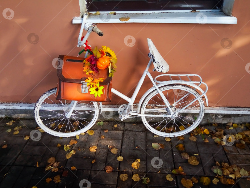 Скачать У стены под окном стоит ретро-велосипед с кожаным школьным портфелем с осенним декором. Концепция осени, школы, Хэллоуина фотосток Ozero