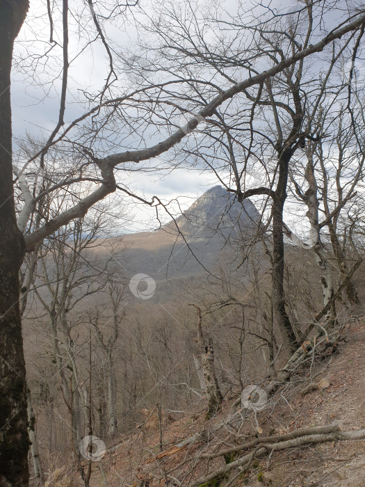 Скачать Гора Железная фотосток Ozero