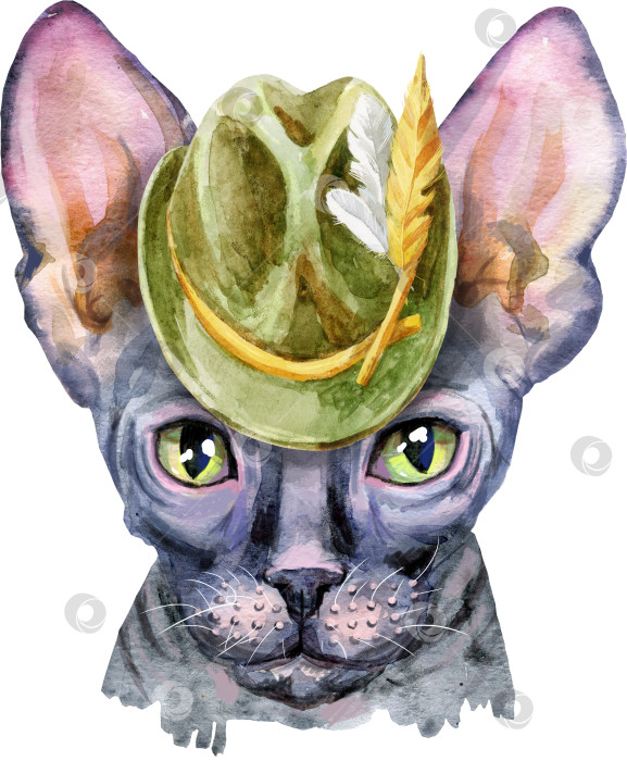Скачать Прекрасный портрет кота сфинкса крупным планом в пастельных тонах в зеленой шляпе. Нарисованная от руки акварельная картина на белом фоне фотосток Ozero