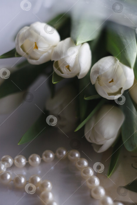 Скачать Белые тюльпаны в бутонах на белом фоне с жемчужными бусинами. Весенняя композиция. фотосток Ozero