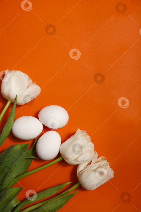 Скачать Белые тюльпаны и белые яйца на ярко-оранжевом фоне, пасхальный фон фотосток Ozero
